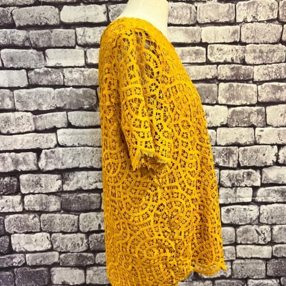 Philosphy Gold Lace Short Sleeve Blouse Size XXL - Picture 7 of 9